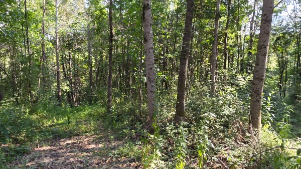 Lot 8 at Scenic Trails property photo