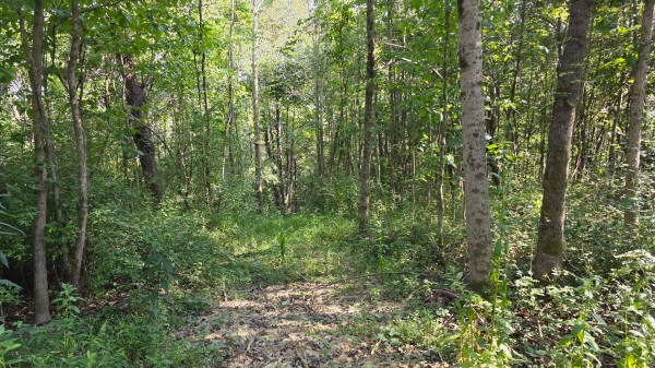 Lot 8 at Scenic Trails property photo