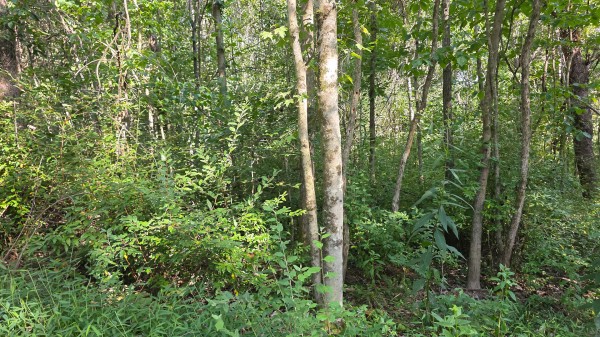 Lot 8 at Scenic Trails property photo