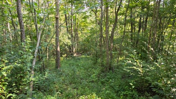 Lot 8 at Scenic Trails property photo