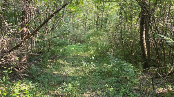 Lot 8 at Scenic Trails property photo