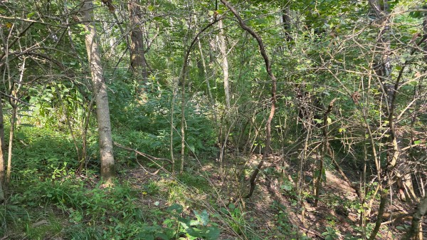 Lot 8 at Scenic Trails property photo