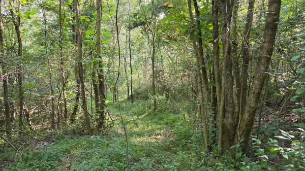 Lot 8 at Scenic Trails property photo