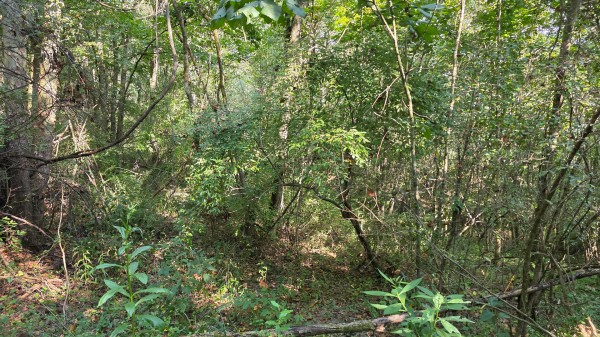 Lot 8 at Scenic Trails property photo