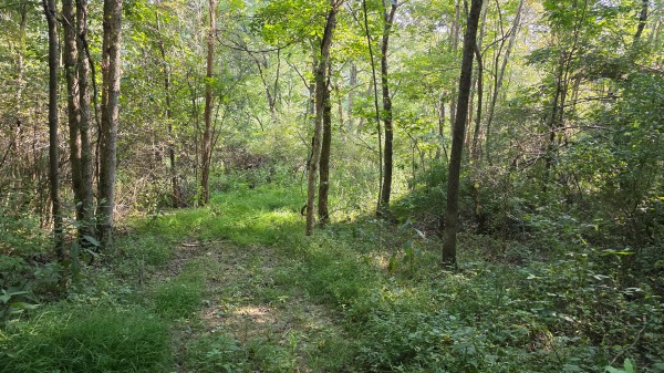 Lot 8 at Scenic Trails property photo