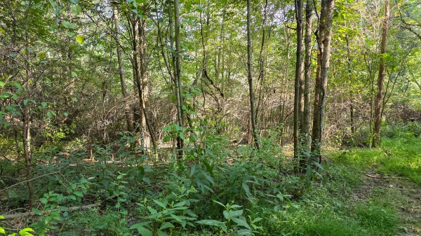 Lot 8 at Scenic Trails property photo