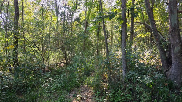 Lot 8 at Scenic Trails property photo