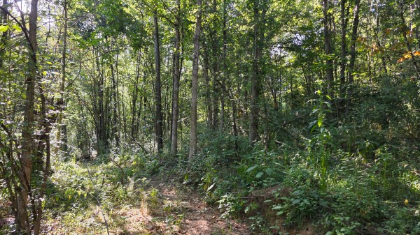 Lot 8 at Scenic Trails property photo