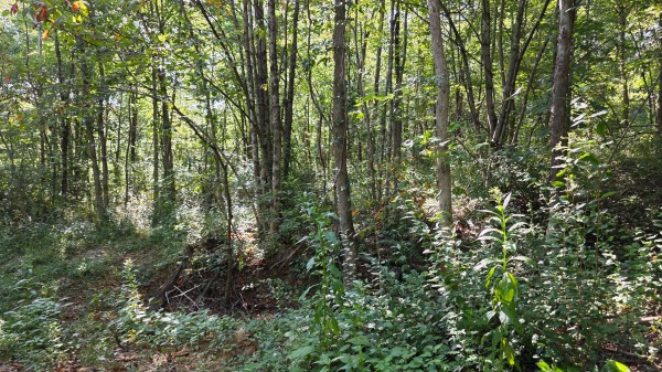 Lot 8 at Scenic Trails property photo