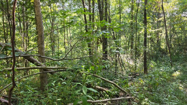 Lot 8 at Scenic Trails property photo