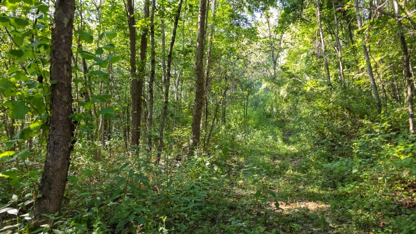 Lot 8 at Scenic Trails property photo