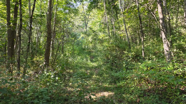 Lot 8 at Scenic Trails property photo