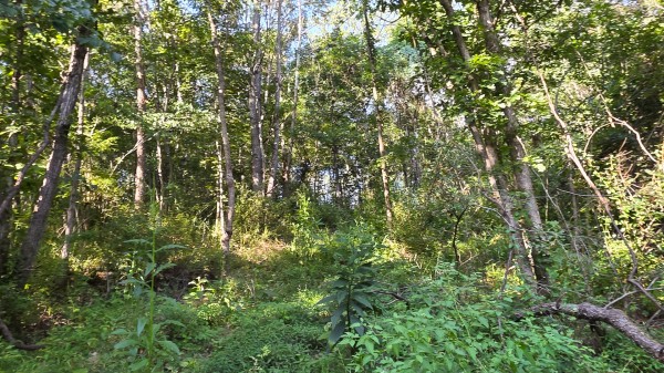 Lot 8 at Scenic Trails property photo