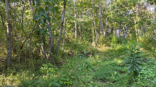 Lot 8 at Scenic Trails property photo