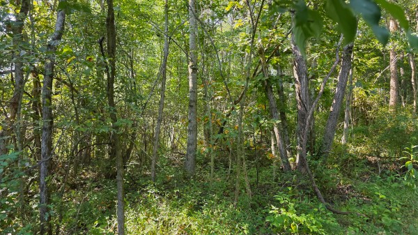 Lot 8 at Scenic Trails property photo