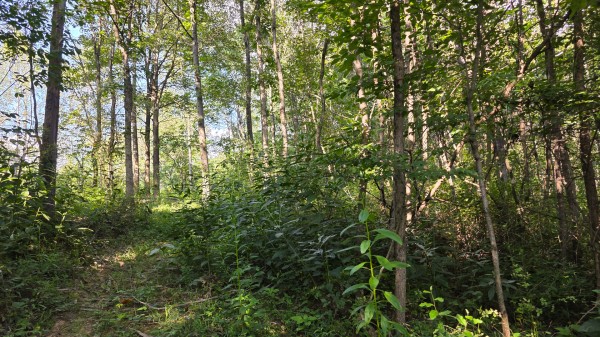 Lot 8 at Scenic Trails property photo