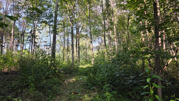Lot 8 at Scenic Trails property photo