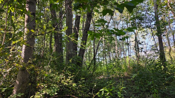 Lot 8 at Scenic Trails property photo
