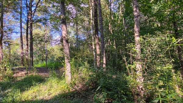 Lot 8 at Scenic Trails property photo