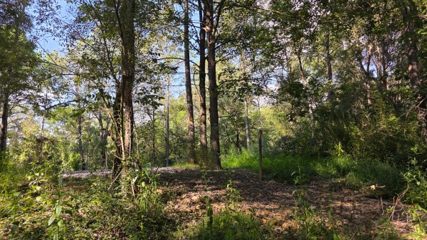 Lot 8 at Scenic Trails property photo