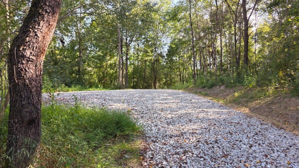 More of Lot 8 at Scenic Trails