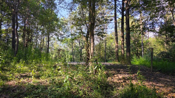 Lot 8 at Scenic Trails property photo