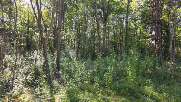 Lot 8 at Scenic Trails property photo