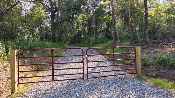 More of Lot 8 at Scenic Trails