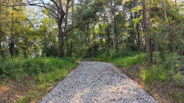 More of Lot 8 at Scenic Trails