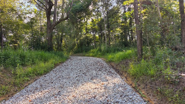 More of Lot 8 at Scenic Trails