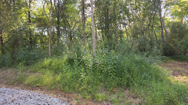 Lot 8 at Scenic Trails property photo