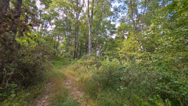 Overlook Cabin at Big Timber Ridge property photo