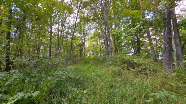 Overlook Cabin at Big Timber Ridge property photo