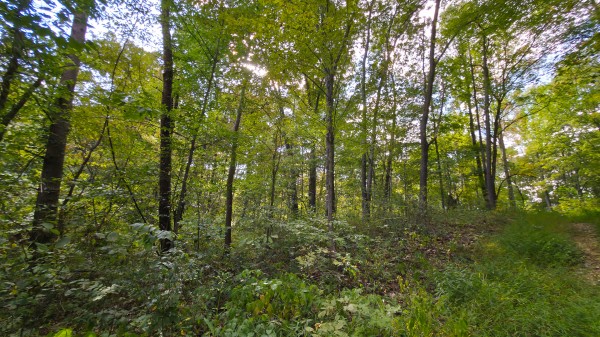 Overlook Cabin at Big Timber Ridge property photo