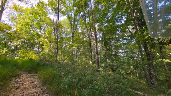 Overlook Cabin at Big Timber Ridge property photo