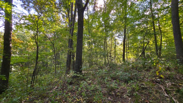 Overlook Cabin at Big Timber Ridge property photo