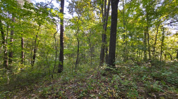 Overlook Cabin at Big Timber Ridge property photo
