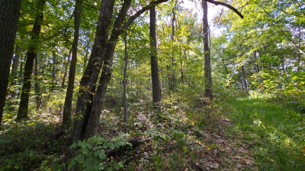 Overlook Cabin at Big Timber Ridge property photo