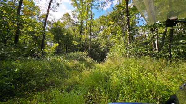 Overlook Cabin at Big Timber Ridge property photo