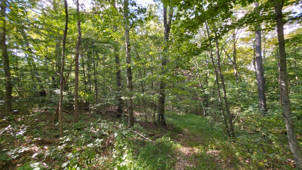 Overlook Cabin at Big Timber Ridge property photo