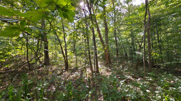 Overlook Cabin at Big Timber Ridge property photo