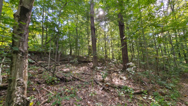 Overlook Cabin at Big Timber Ridge property photo