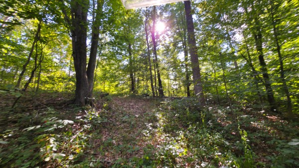 Overlook Cabin at Big Timber Ridge property photo