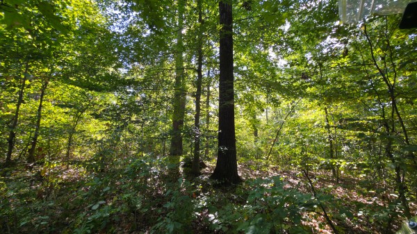 Overlook Cabin at Big Timber Ridge property photo
