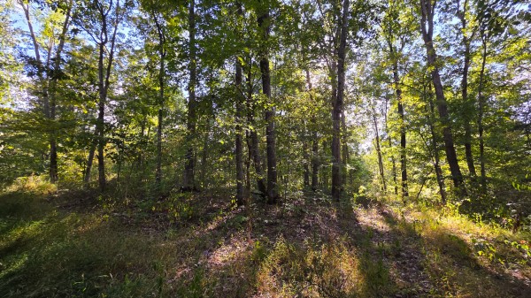 Overlook Cabin at Big Timber Ridge property photo