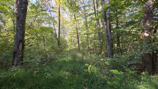Overlook Cabin at Big Timber Ridge property photo