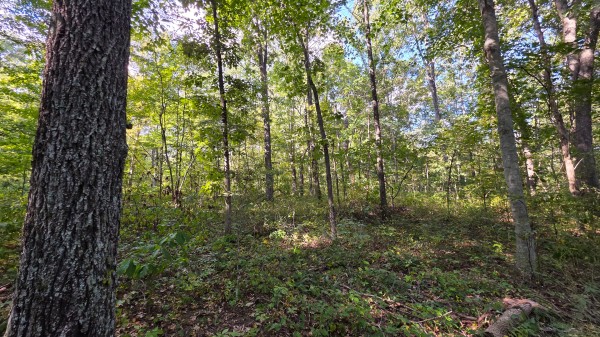 Overlook Cabin at Big Timber Ridge property photo