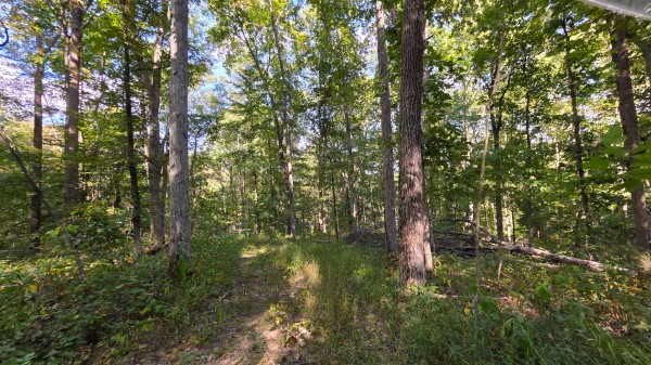 Overlook Cabin at Big Timber Ridge property photo