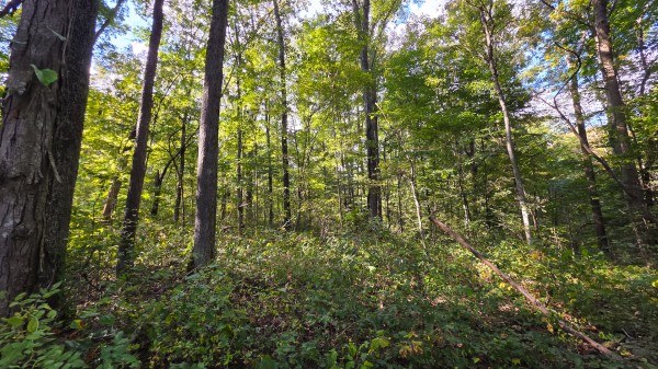 Overlook Cabin at Big Timber Ridge property photo