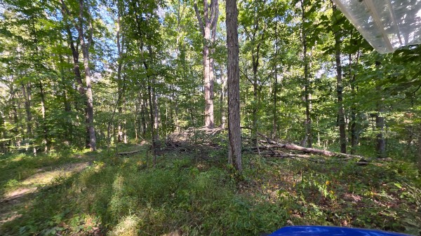 Overlook Cabin at Big Timber Ridge property photo